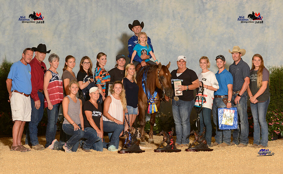 Alliance Equestrian